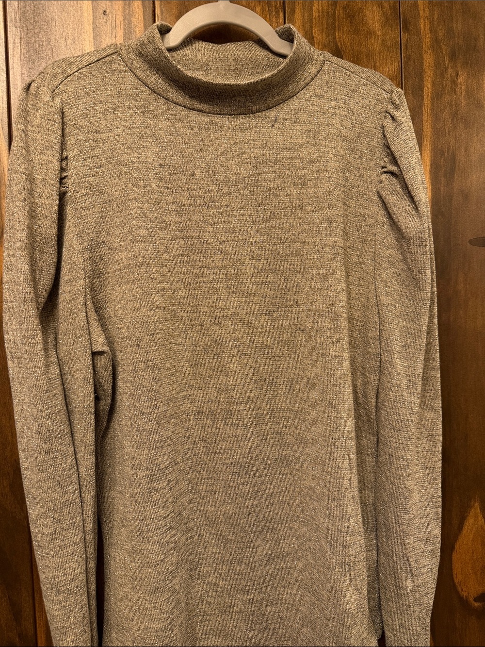 Shimmer gold Mock Neck Long Sleeve Top